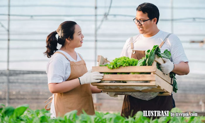 manfaat agrikultur organik bagi petani